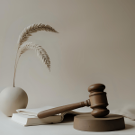 ظهیری وکیل کیفری و حقوقی در تبریز میلاد