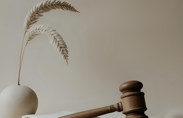 ظهیری وکیل کیفری و حقوقی در تبریز میلاد